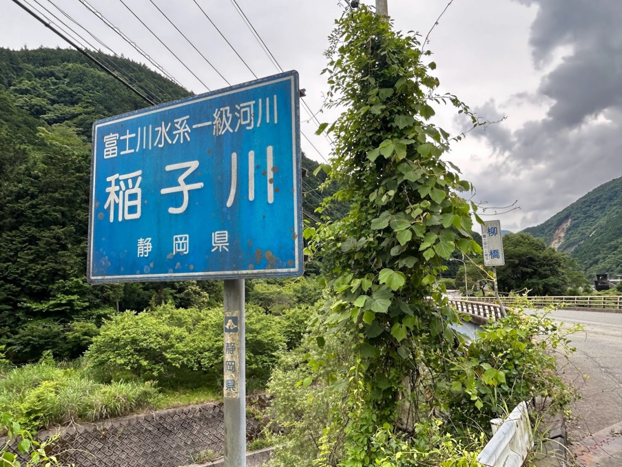 芝川支流 稲子川鮎特定区（いなこがわ） 【静岡県・富士宮市】