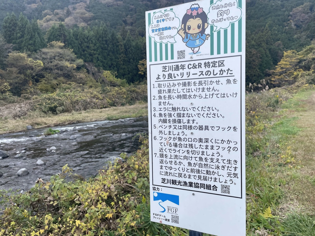 芝川 特別区キャッチ＆リリース区間（しばかわ） 【静岡県・富士宮市】