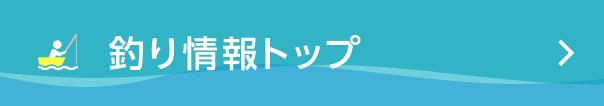 釣り情報　ＴＯＰ