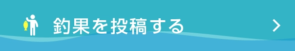 釣果を投稿する