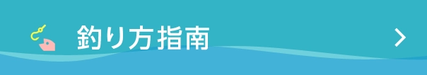 釣り方指南　TOP