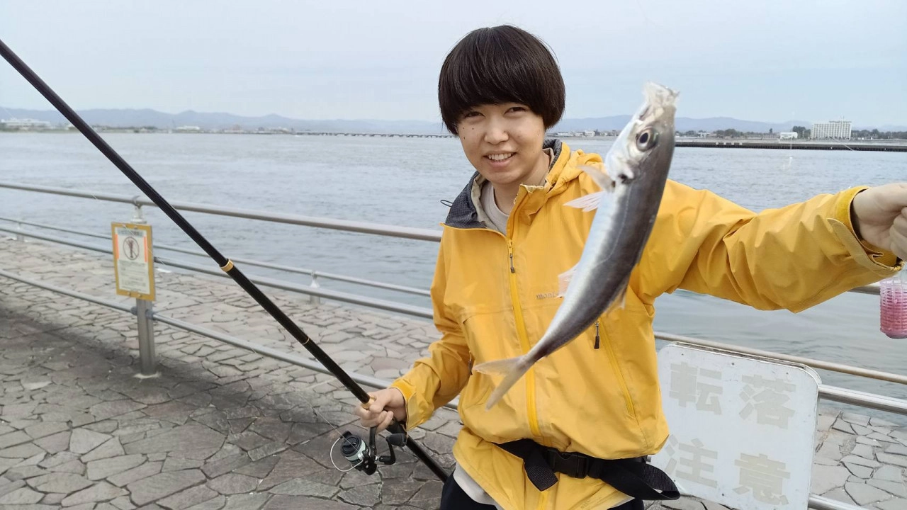 イシグロ高林店】2024GW直前！！浜名湖新居海釣り公園 サビキ釣り 豆