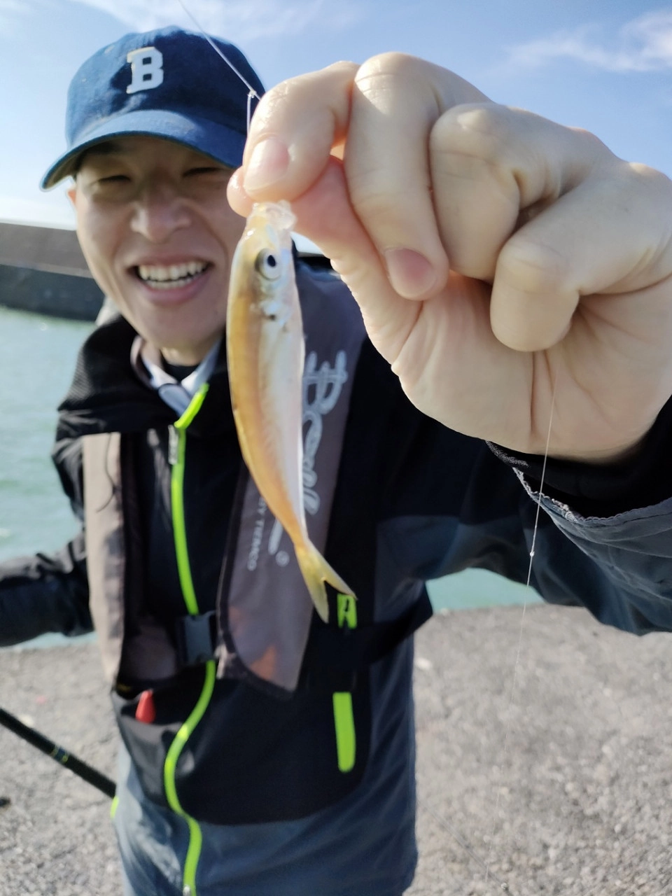 用宗漁港の豆アジ