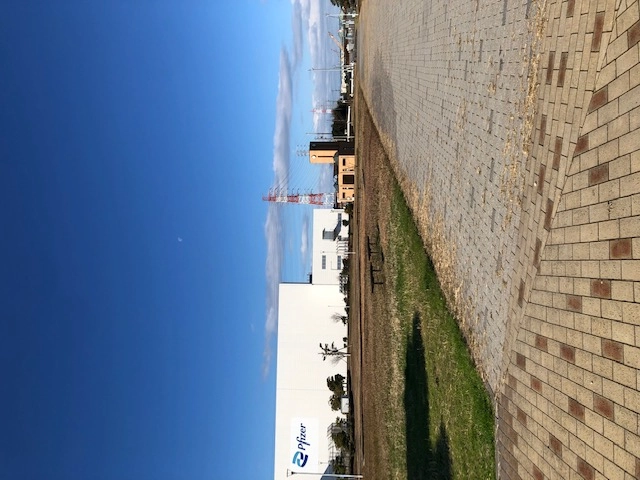 武豊緑地公園