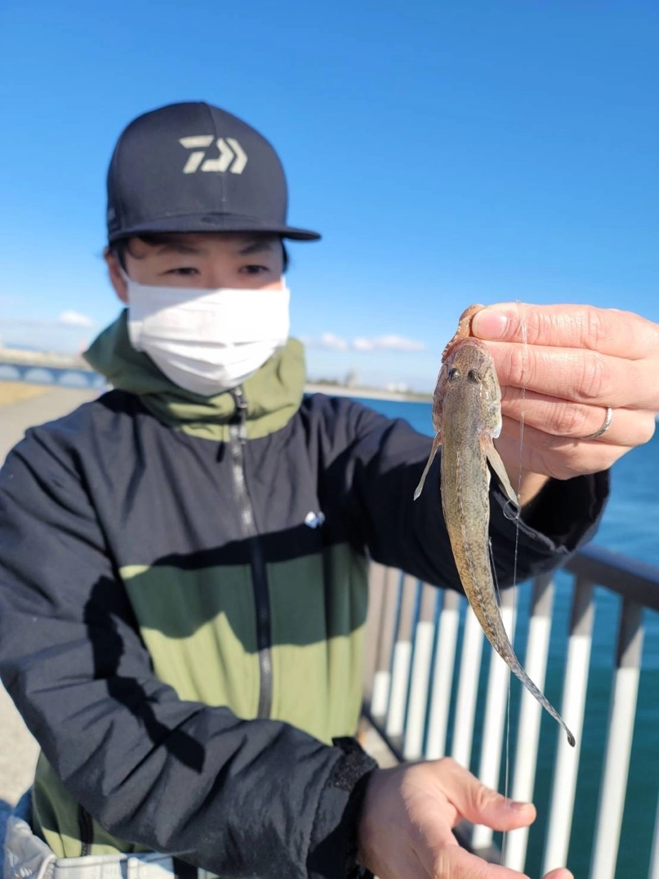 ハゼ釣り
