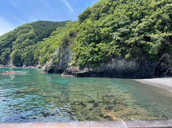 Tsulino オリジナルエサ大活躍！！ 三重県の海上釣り堀 正徳丸様へ行っ