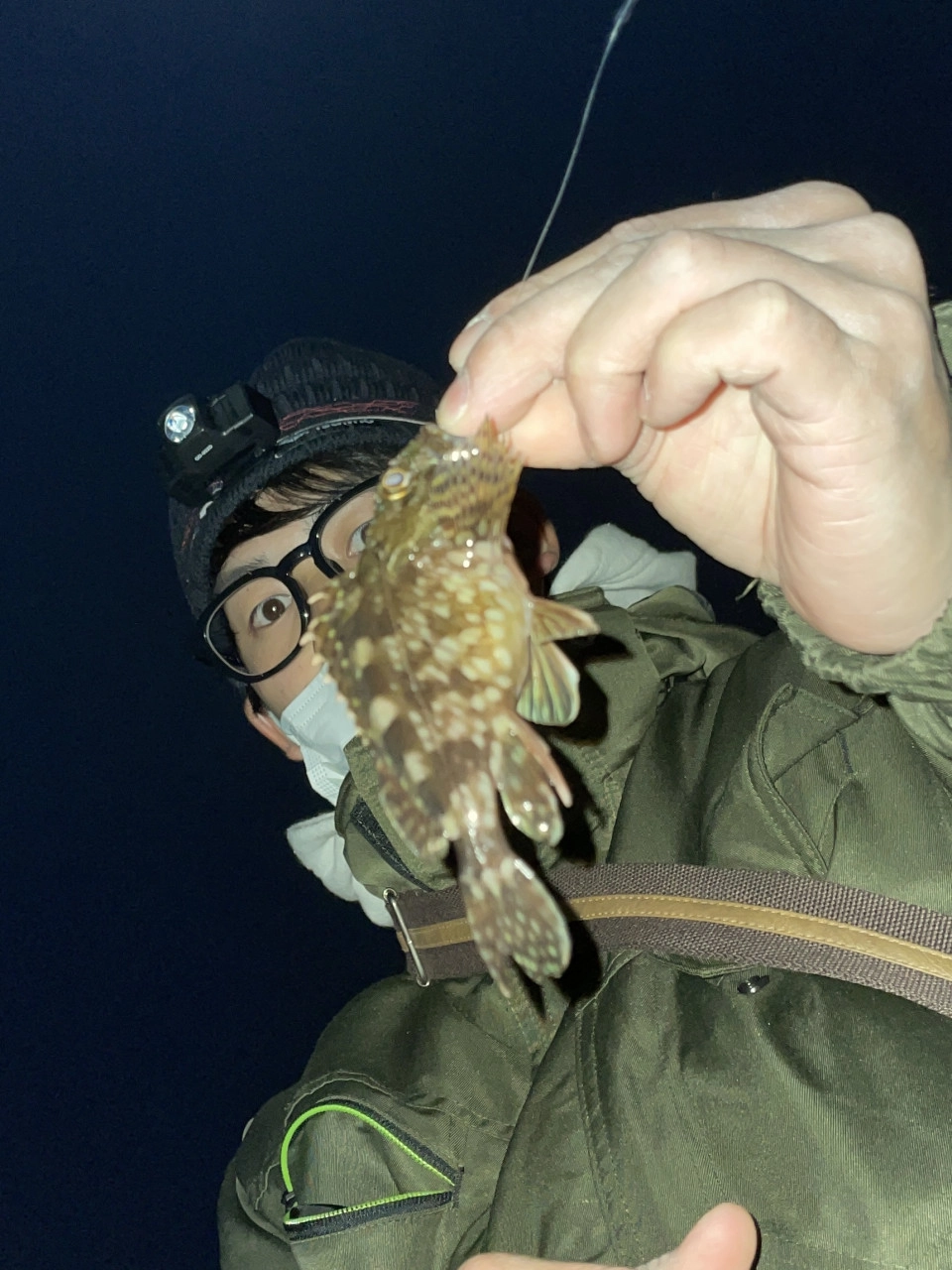 ちびカサゴ①