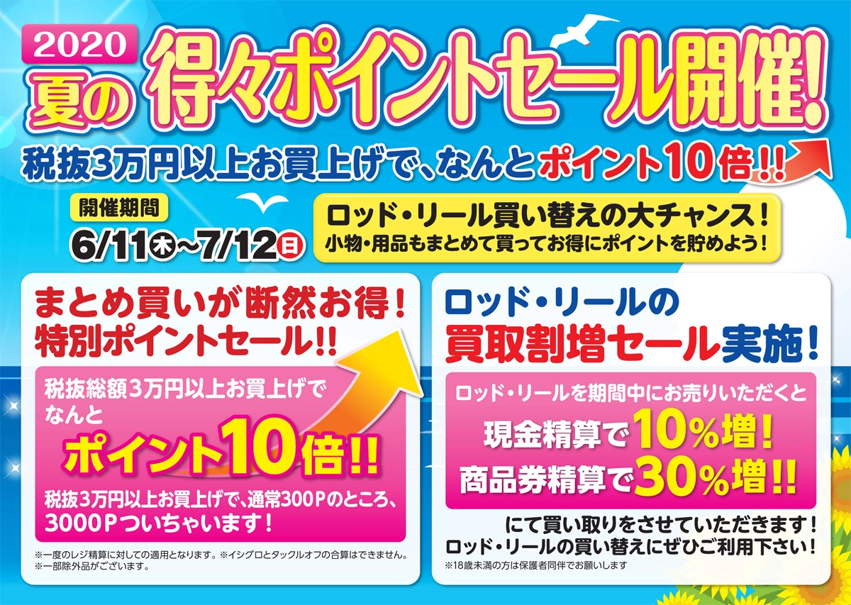 夏の得々ポイントセール開催！