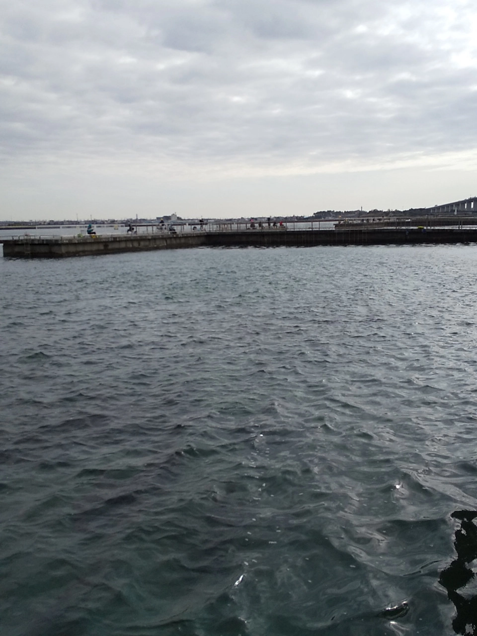3/3の浜名湖新居海釣り公園です