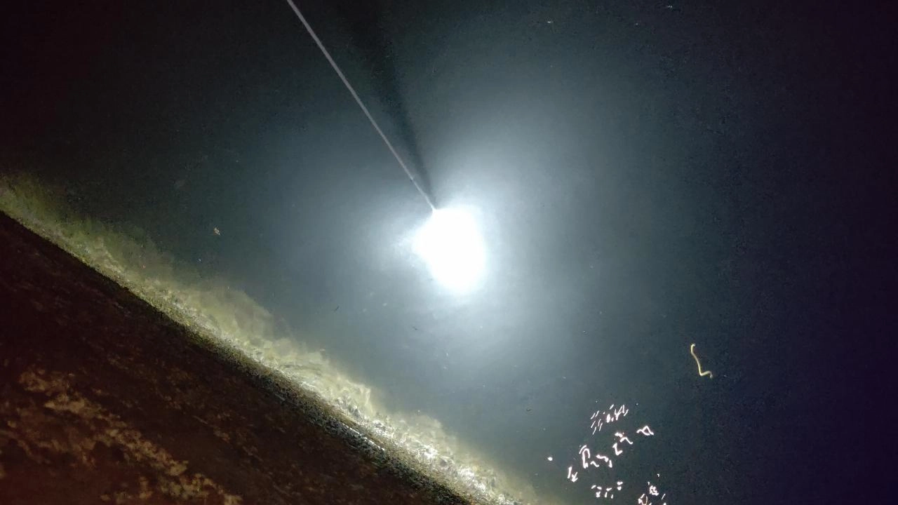 清水港内にてバチ抜け!?