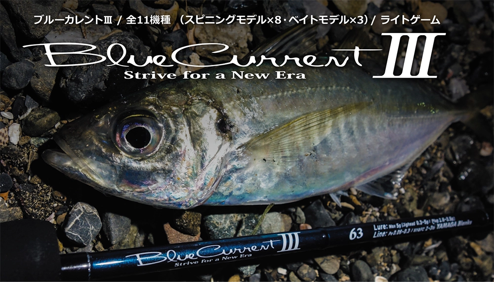 2020年はブルーカレントがモデルチェンジ