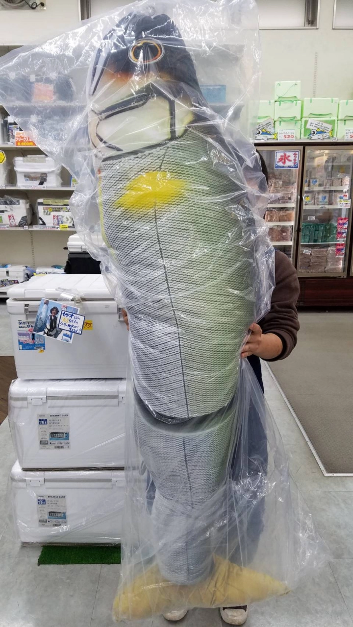 大人気！ガンクラフト ジョイクロクッションが入荷しました | イシグロ