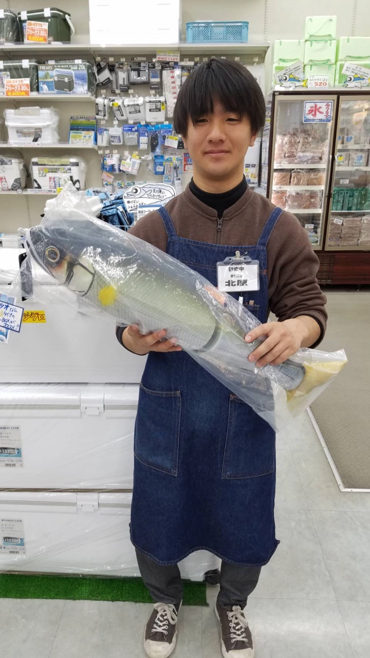 大人気！ガンクラフト ジョイクロクッションが入荷しました | イシグロ