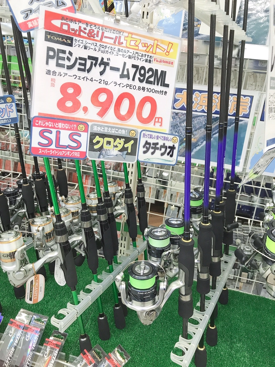 PEショア.JPG.webp?itok=4149HFyO