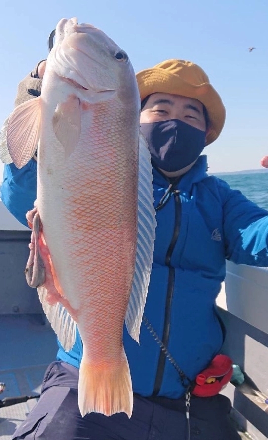 シロアマダイ.png.webp?itok=9i- シロアマダイ.png.webp?itok=9i-