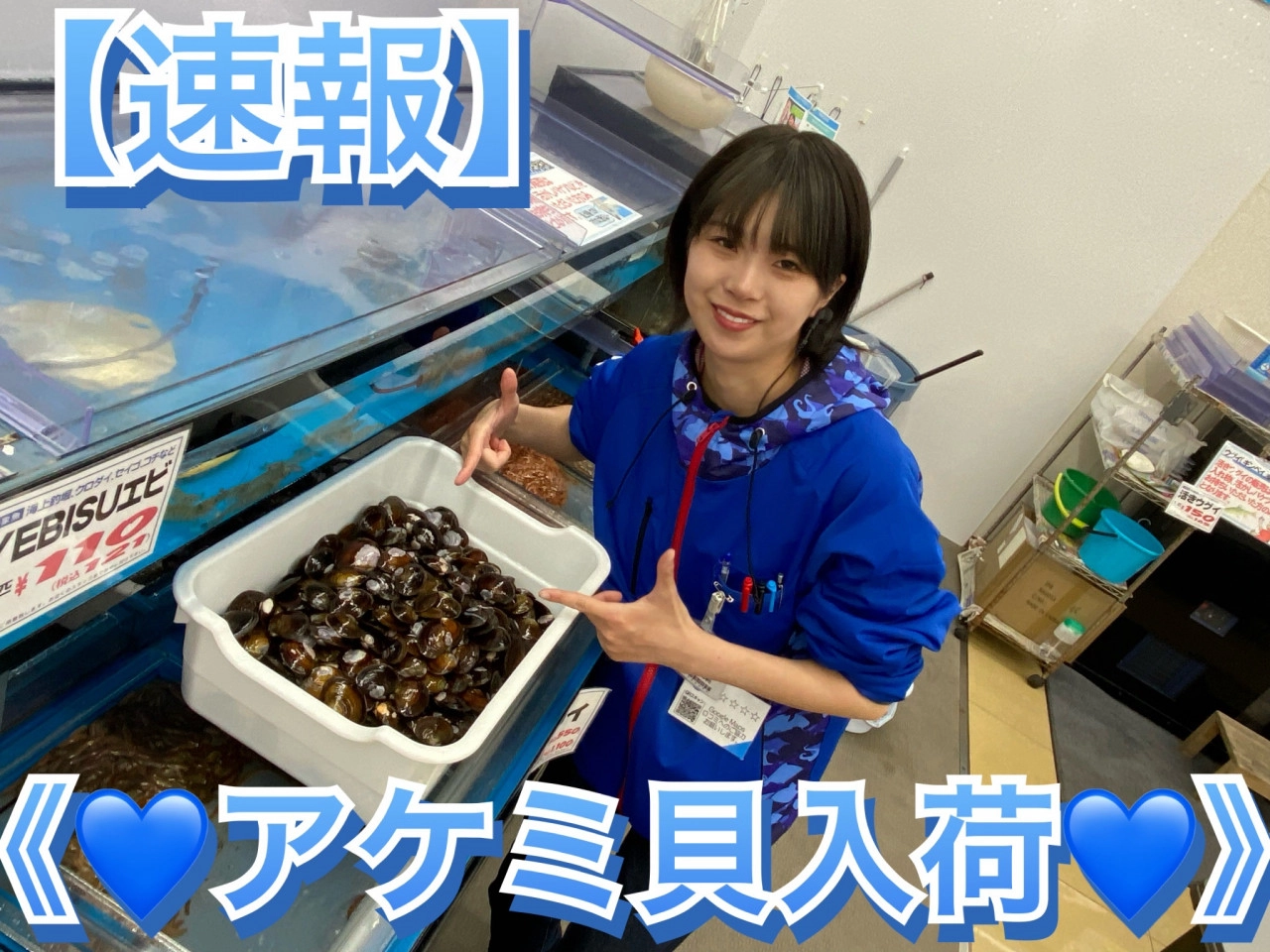 【エサ速報】♥アケミ貝入荷♥【イシグロ西尾店】