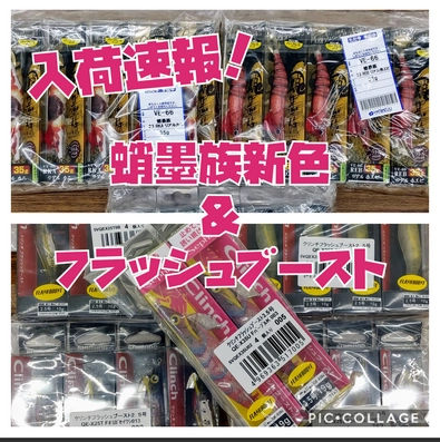 タコ＆アオリ】蛸墨族新色＆セフィアフラッシュブースト入荷