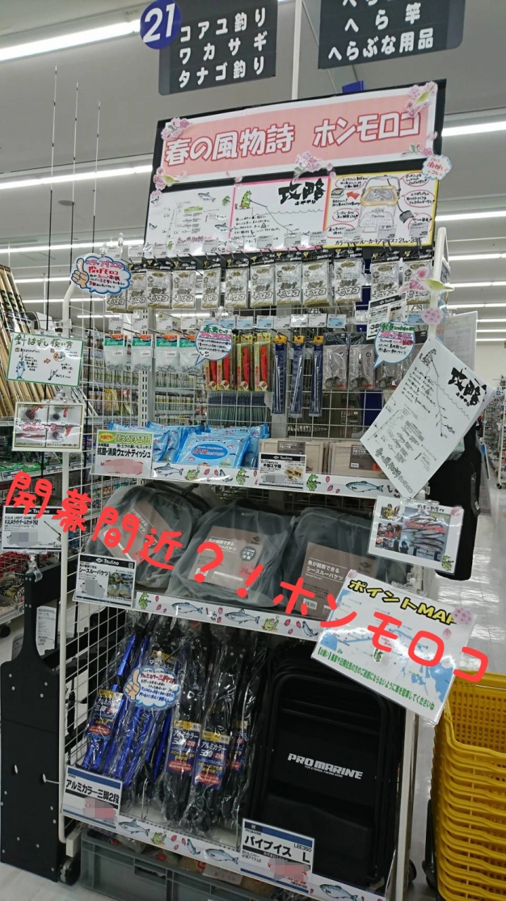 開幕が待ちきれない！ホンモロコ特設コーナー♪