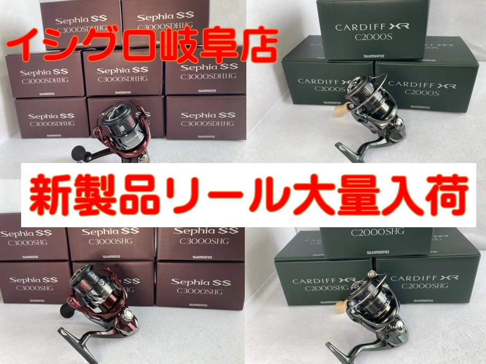 イシグロ岐阜店】新製品 シマノ セフィアSS、カーディフXR入荷致しまし