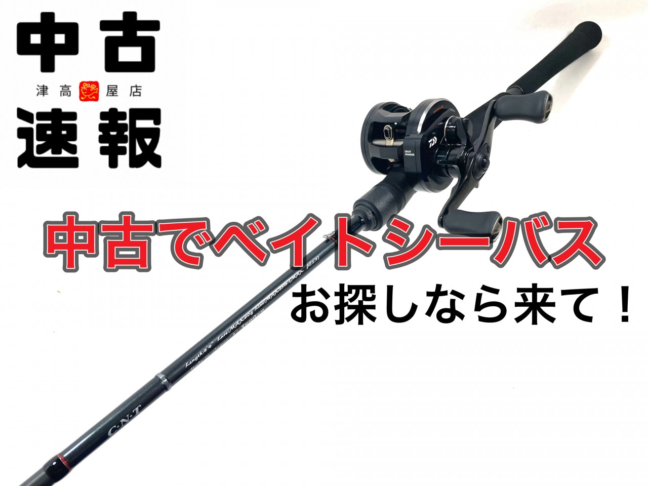 Amazon | ダイワ(DAIWA) 大物用本流竿 遡 P-10 85 | ダイワ