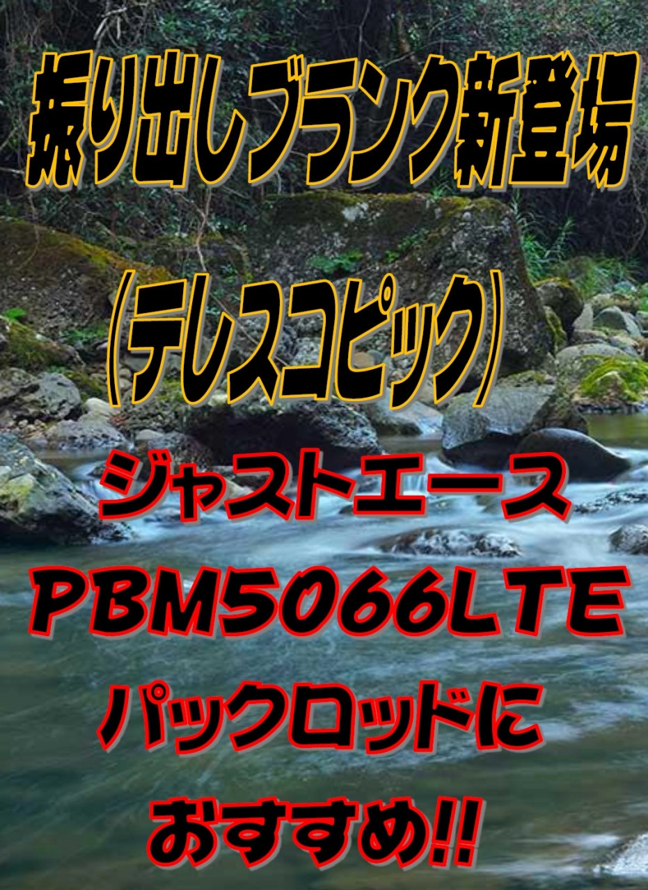 【限定セール！】 パックロッド.jpg.webp?itok= ロッド
