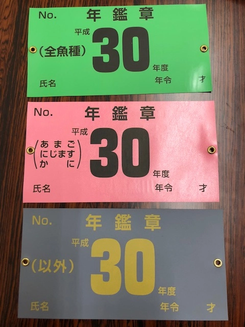 狩野川年間証
