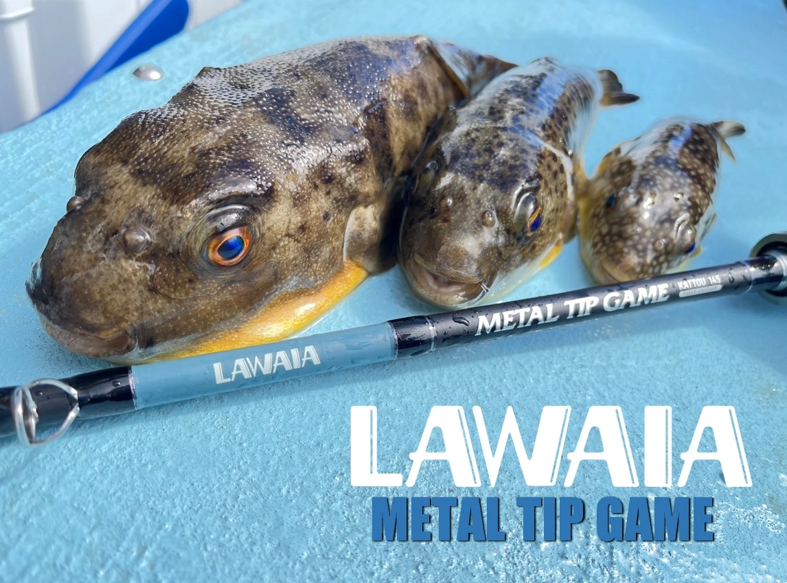 【数量限定】 LAWAIAMTGKATTOU145.jpg.webp? ロッド
