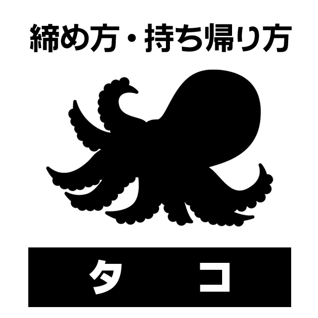 タコの締め方・持ち帰り方＆下処理方法