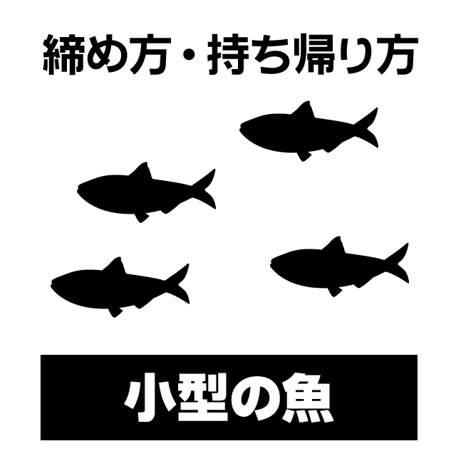 小型の魚　締め方・持ち帰り方