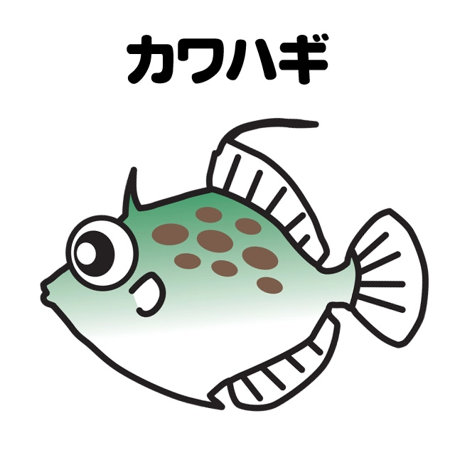 堤防のカワハギ釣りメイン画像