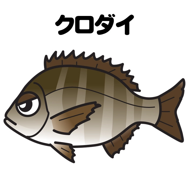 クロダイ　ウキフカセ釣り