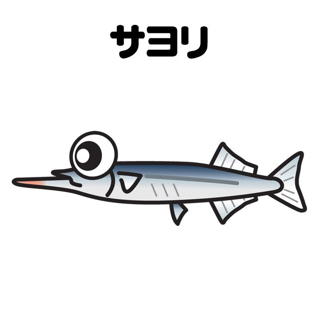 サヨリの投釣り・手竿釣りメイン画像