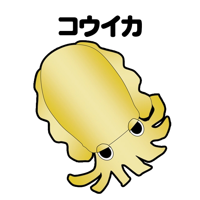 船　コウイカ釣り