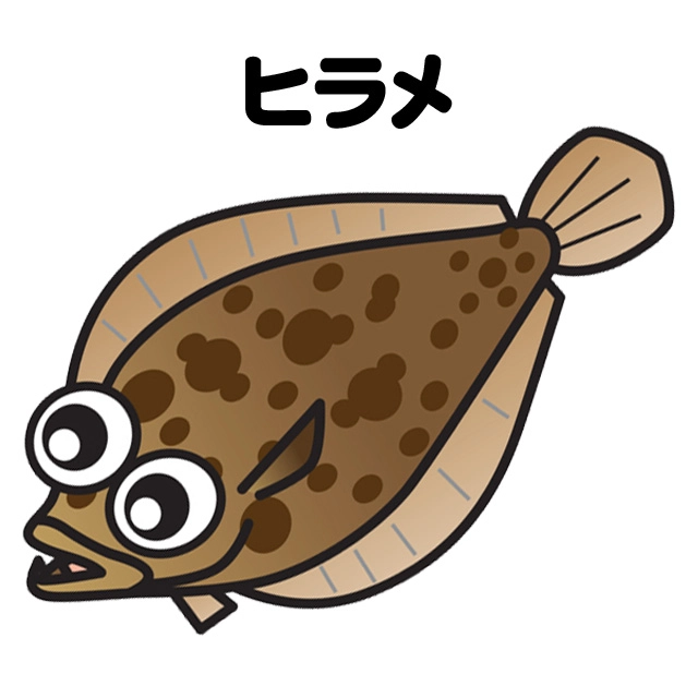 船　ヒラメ釣り　メイン画像
