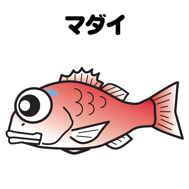 完全フカセ釣りメイン画像