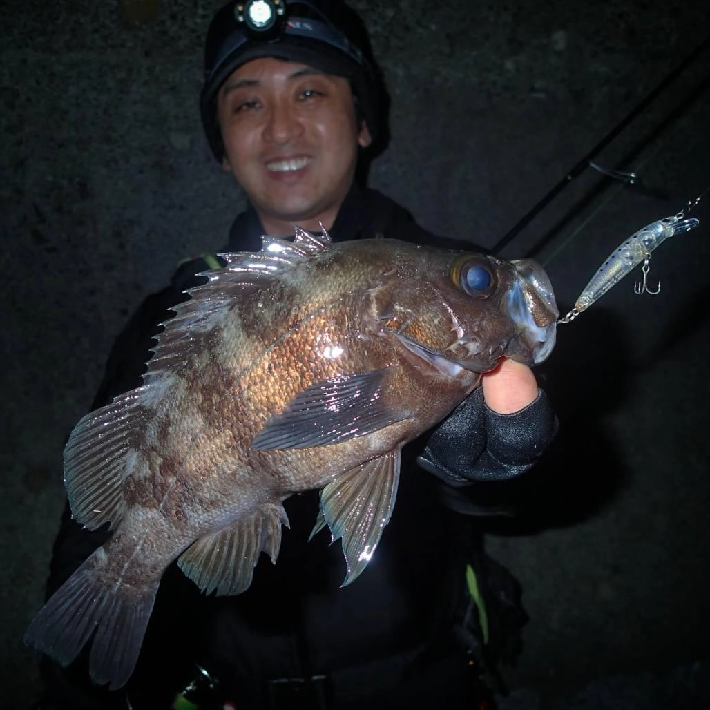 潮止まり直前に来た当日最大２５cm!!