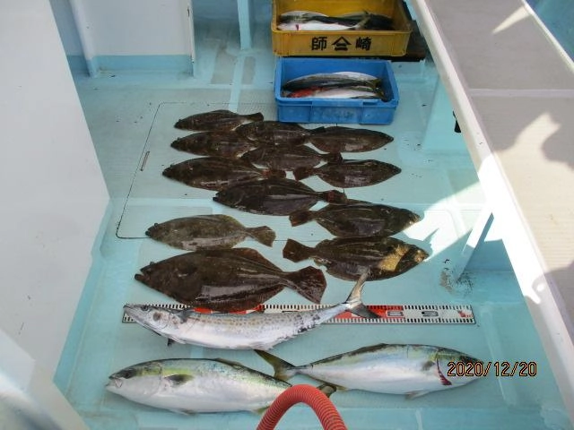 片舷だけの釣果のサワラ、ワラサ、ヒラメ、ハマチッ(^-^)