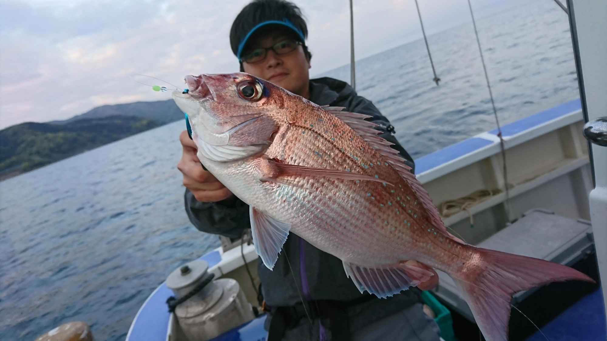 コマセ釣りにて、朝マズメ１投目でヒット！！乗っ込みマダイが釣れました。