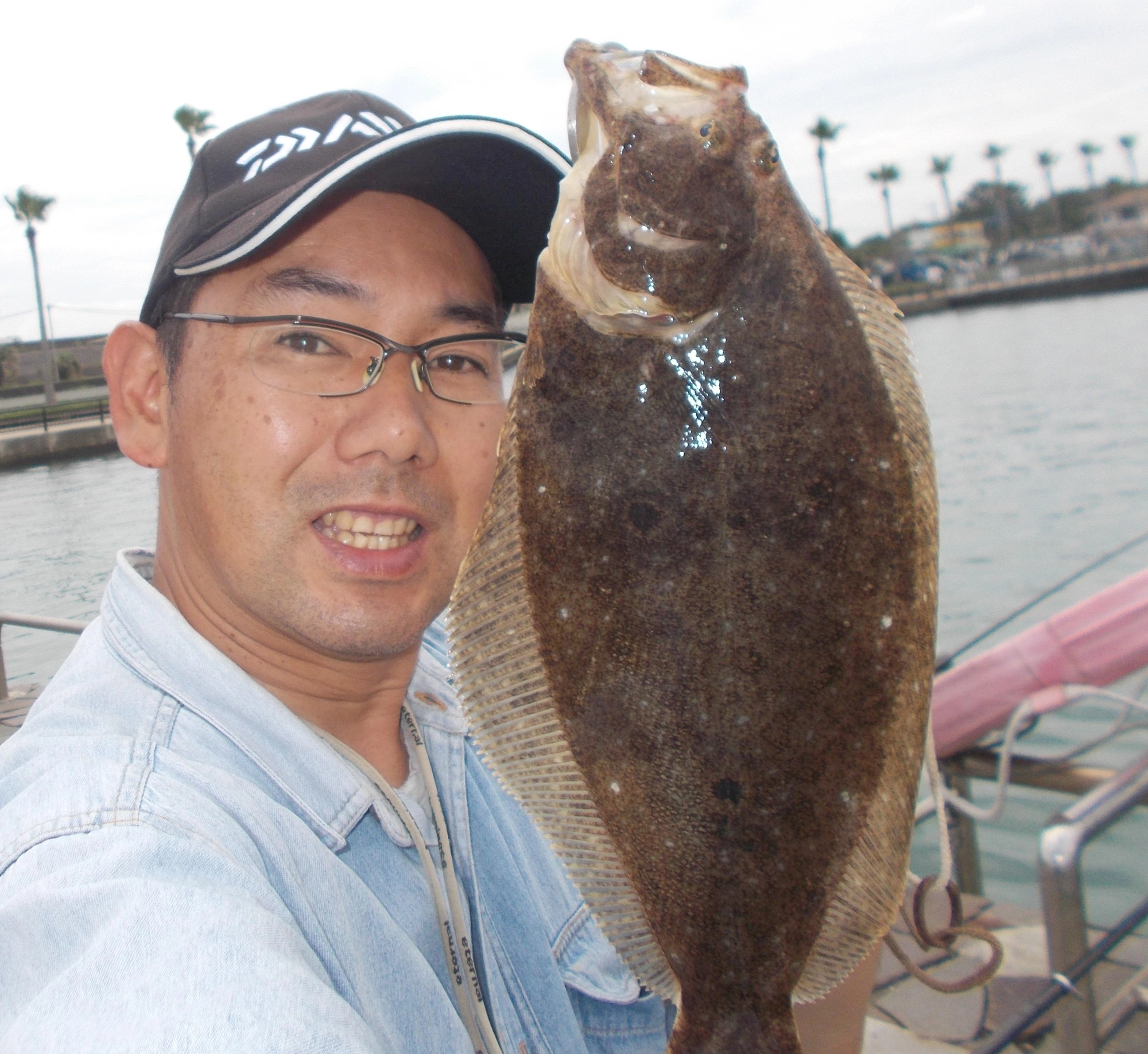 今年はサビキ絶好調！それに釣られてヒラメの魚影も多いですよ。