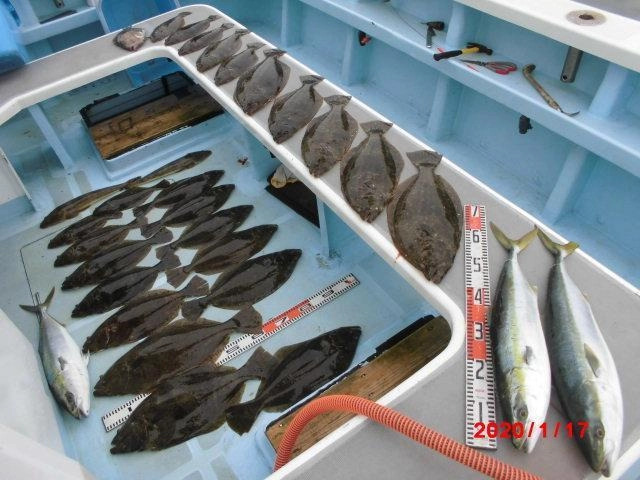 まだまだ激アツッ！！師崎『活き鰯ヒラメ釣り』ッ(・∀・)！！