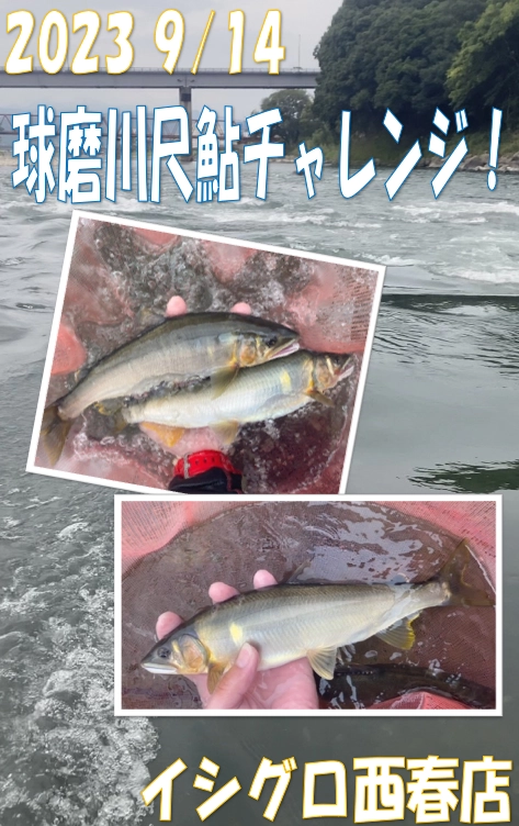 球磨川尺鮎チャレンジ4日目！　球磨川らしい荒瀬を堪能♪
