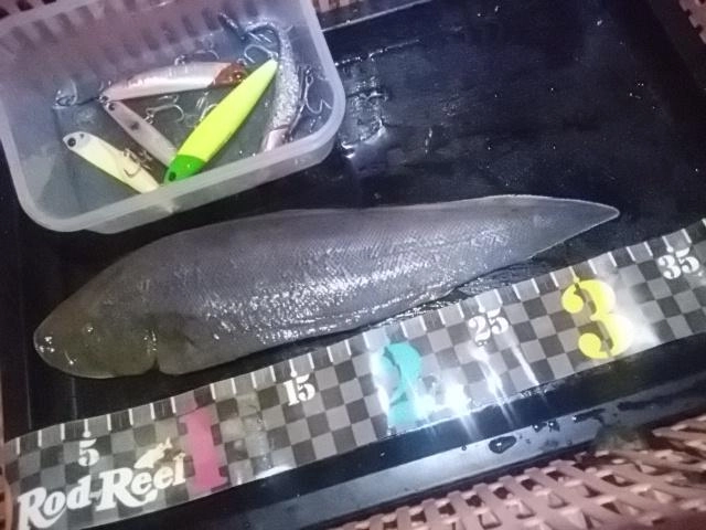 シタ