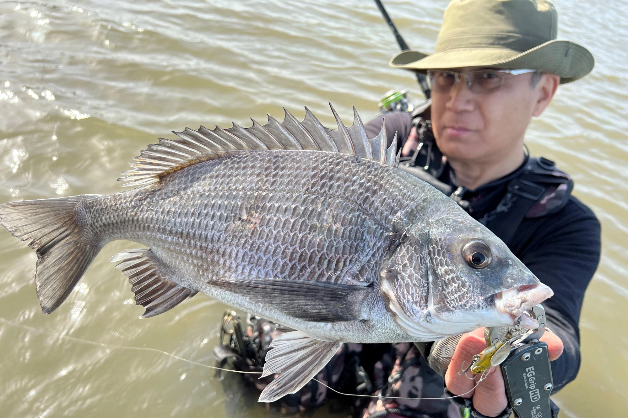 クロダイも良型！他50cmのクロダイも！もちろんレアリススピン！