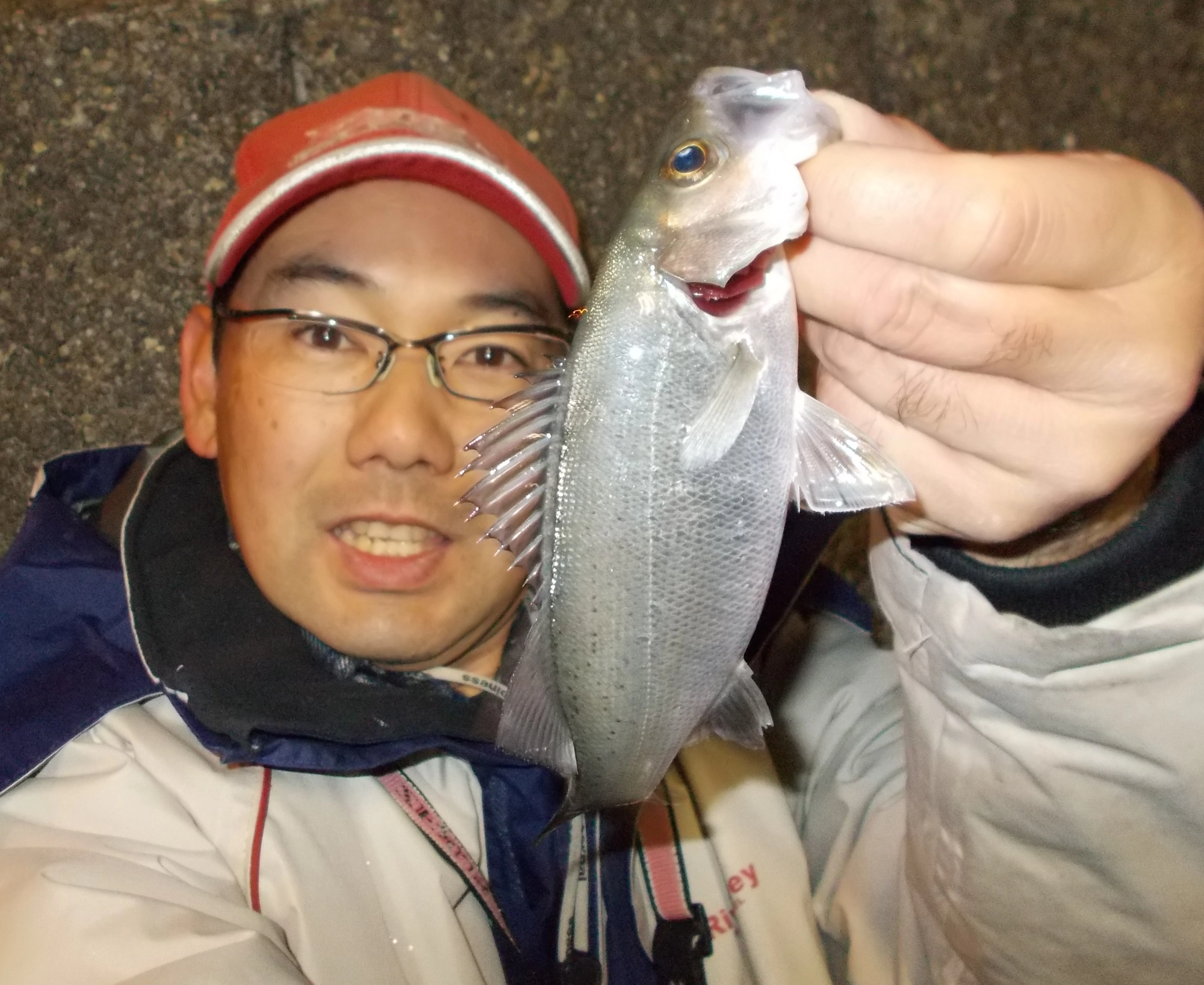 同じところで狙うよりも食い気のある魚を狙い歩きました。年末・年始の釣りにいかがですか？