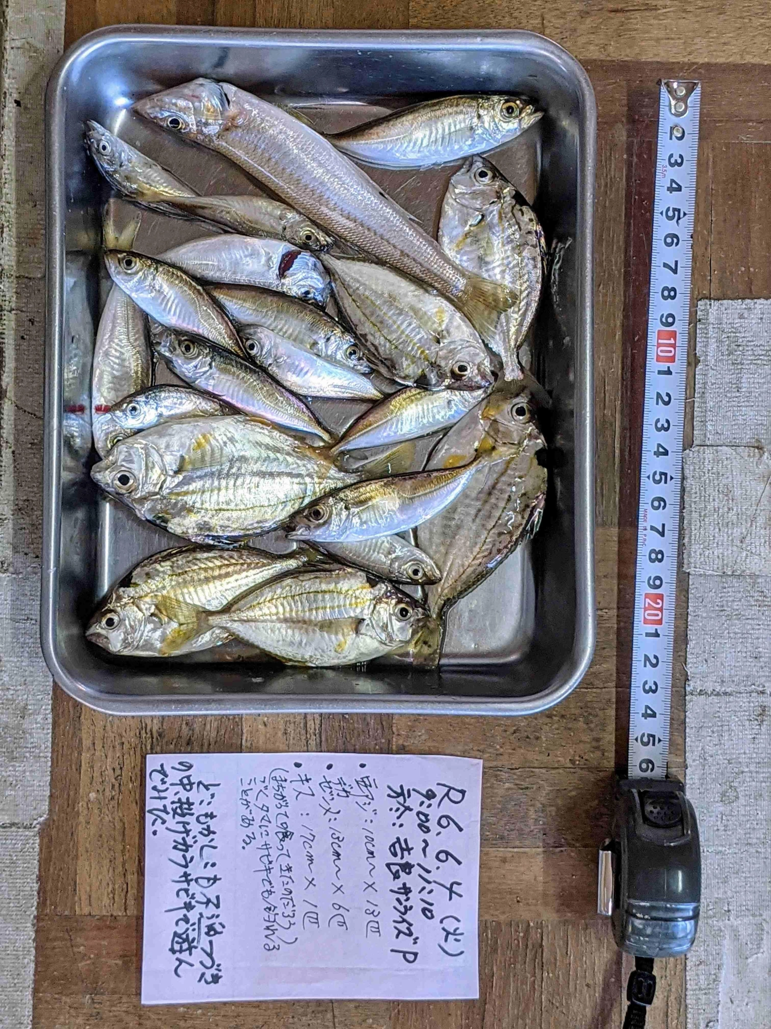 サビキでもキスが偶に間違って食うことがある。
専門にキスを狙っている大勢の人には申し訳なかった。
本日もあまり釣れてないようだ。