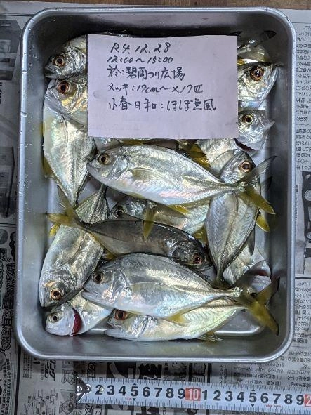 参考　4.12.28 メッキの釣果　同所