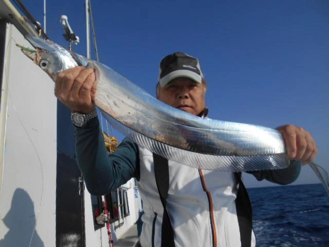 こちらも指７本サイズ