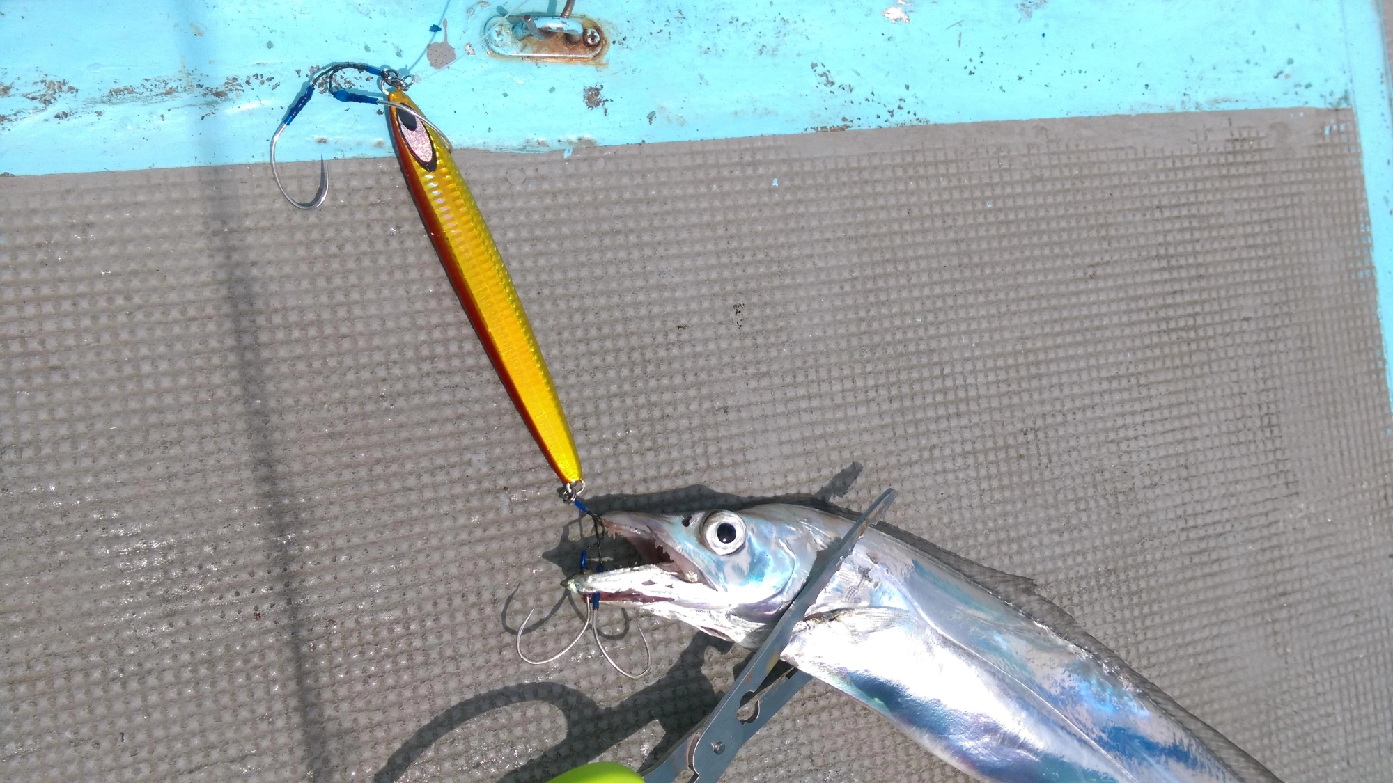 ヒットルアーはダイワ鏡牙セミロングジグ２００ｇ、アカキンやシルバーなど