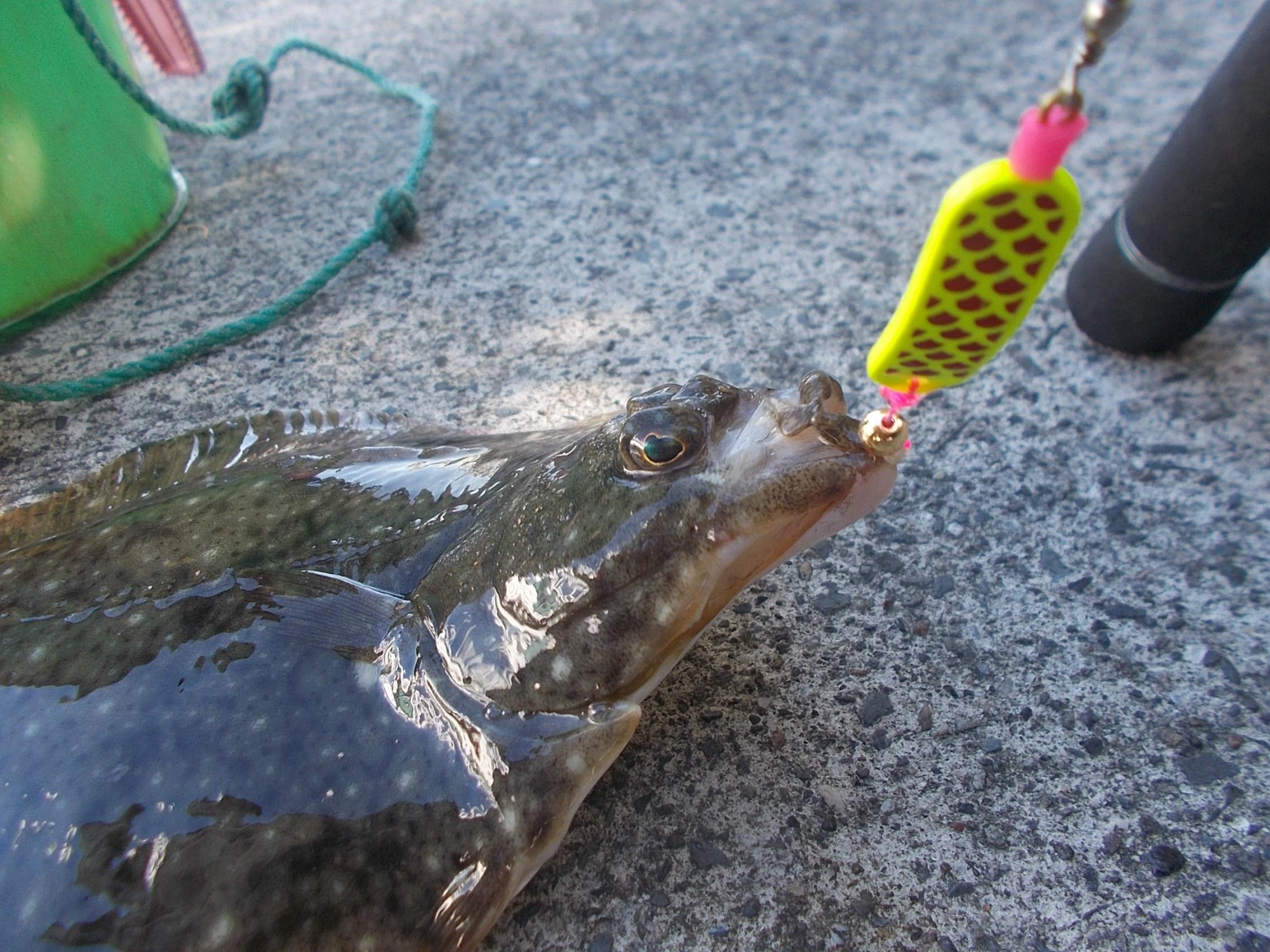 ヒットカラーは『イエロー』派手な色で魚の注目集めるとっておきの色ですよ。