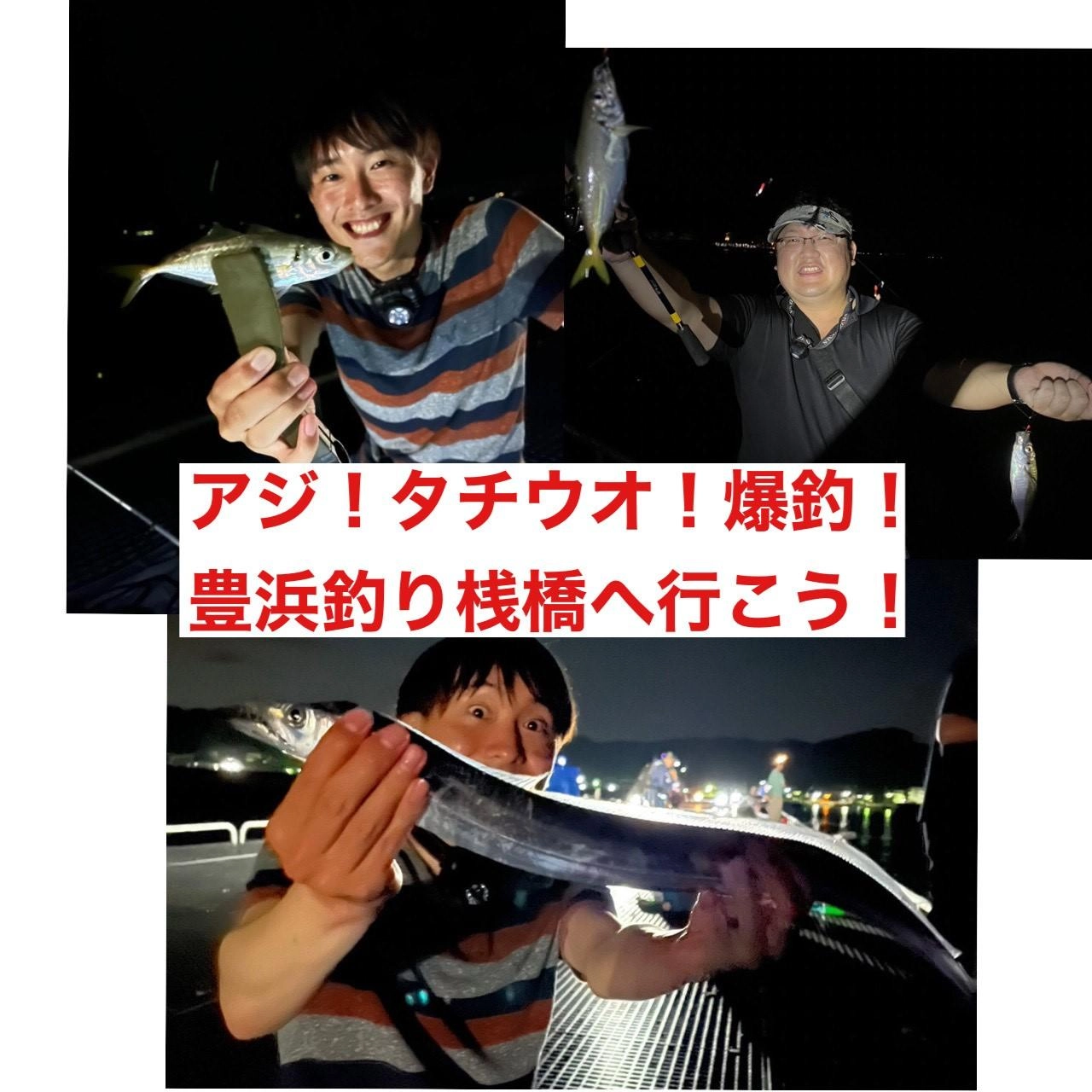 豊浜釣り桟橋でアジ・タチウオがメチャクチャ釣れてますよ！